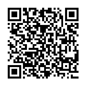 看来以前的快乐生活已经彻底的消磨掉了他们应该有的战意了二维码生成