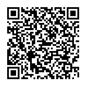 看来这场比赛他们是真的看不到荣和罗伯托・卡洛斯在比赛中对飙速度了……二维码生成