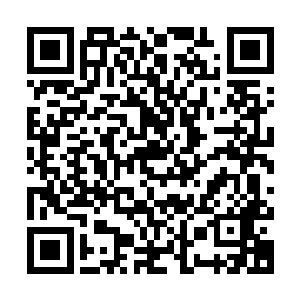 看样子不完全像水流冲击形成……莫非里面还藏有什么凶猛野兽二维码生成