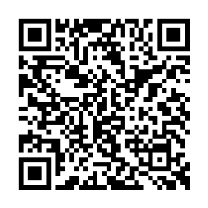 看样子也是准备直接的就用重锤把罗炫给敲晕了二维码生成