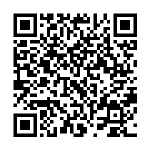 看样子你也快突破了相信用不着多久的话就能到神兽后期了二维码生成