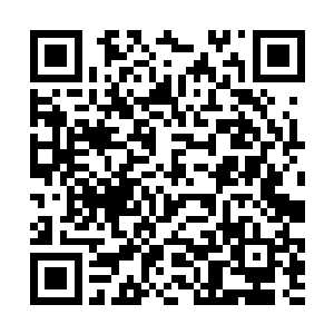 看的一旁累死累活给他装备战甲的两个侍从又敬又畏二维码生成