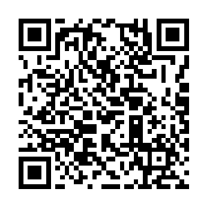 看着两任教延带着浩浩荡荡的高级魔法师队伍出击二维码生成