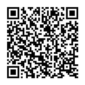 看着主人不忍心责怪我……其实我心里也很不好受……对不起……二维码生成