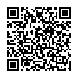 看着倒在地上满脸灰白犹如狗一样重重喘息的尹新月二维码生成