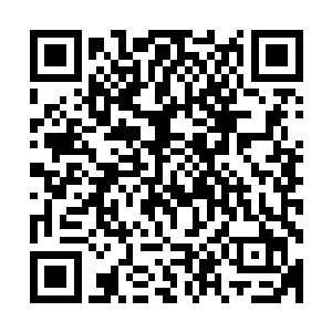 看着四人年青人这个样子不由的张口又给他们增加了一些刺激二维码生成