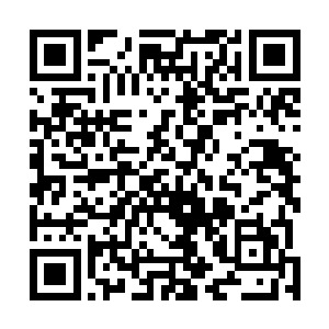 看着她离开南璟冲着老板微微笑了一下转身立刻追了上去二维码生成