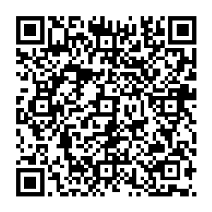 看着如今墨修尧占据这辽阔的土地而自己却只能退守江南那面积不足原本的四分之一的领土二维码生成