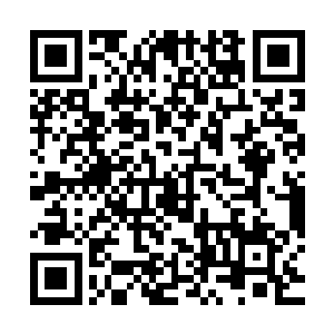 看着数百如狼似虎的锦衣健儿拥着那杀人不眨眼的燕王萧言出来二维码生成