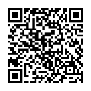 看着杨洛又把周桓的另一条腿的脚筋挑断才回过神来二维码生成