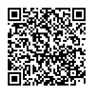 看着海勒在自己眼前展示的那两组四条螺旋形的dna慢慢的融合在一起的样子二维码生成