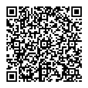 看着渐渐趋于败走的领域之力 老猴子随意的抬手 将嘴角的鲜血抹干净 目光有着追忆 也有着一丝挣扎二维码生成