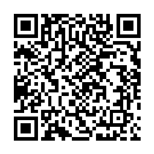 看着眼前的廖言此刻带头的那名保安双手奉上廖言的证件二维码生成