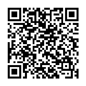 看着道路两侧连绵不绝的高大院墙和时不时出现一个的宅院大门二维码生成