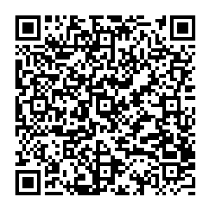 看着那个刚刚还威风凛凛的追杀自己的家伙此刻像是一个被人轮暴的小女生一样脸色扭曲的发出恐怖的尖叫二维码生成