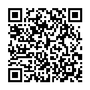 看秦筝脸上的笑容和华天香微红的俏脸叶璃也知道答案了二维码生成