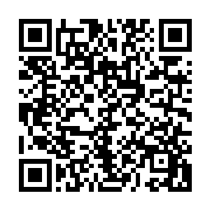 看程白泽现在的似笑非笑的表情我就知道他是故意说这话激我的二维码生成