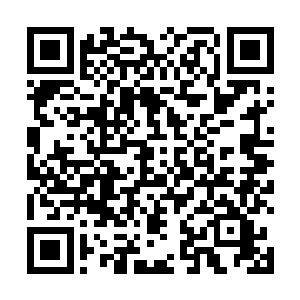 看老者用匕首动作熟稔的把其手中还没死透的兔子剥皮二维码生成