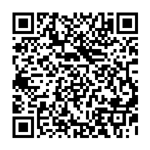 看见一座座古冢青坟在苏无名与北极真龙战斗余波中或夷为平地或深埋冰中二维码生成