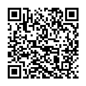 看见神情慌张的二狗两只手还在不断的绞着自己的衣角二维码生成