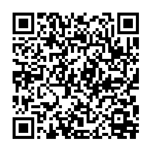 看起来就像是结成了一个血色的巨茧将秦方完全包裹在最深处了似的二维码生成