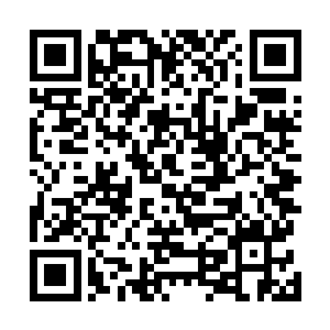 看起来确实是野狼城堡外堡提供给伤员治疗期间住的地方二维码生成