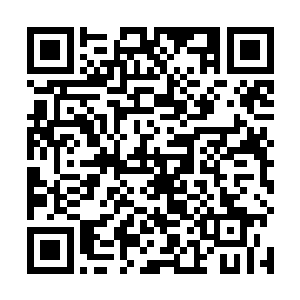 看这宽大高档的套房设施比得上他们在高级酒店的感受二维码生成