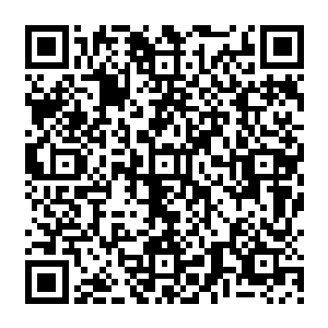 看雪如楼对流墨墨的紧张程度轻而易举就想到要是对付流墨墨雪如楼估计也会乱了阵脚二维码生成