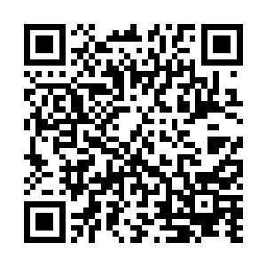 真人数量比我们应州多出三倍……浮动是因表面数据不准二维码生成