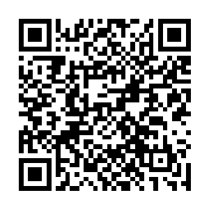 真实的目的是为了掩护那伙带着神灵之棺离开的李家人二维码生成