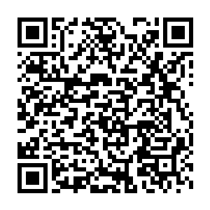 真怀疑几个小时前在休息室里向她表白的那个人不是岑宇昊本人了二维码生成