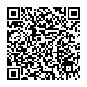 真想看到他一巴掌一巴掌将这些牛逼轰轰的学宫前十给打的找不到方向二维码生成