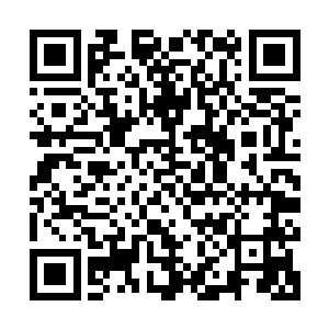 真正的人造生物是根据人的意愿制造而出的具有某种功能的生物二维码生成