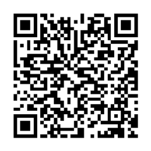 真正的伤害才刚刚开始而已……只要看看傀儡人一击得手之后二维码生成