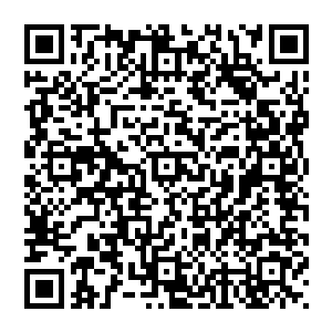 真正让他感觉紧张的还是这个控魂术技能的成功率……若是幽冥鬼螳都虚弱成这个样子还不能成功的话二维码生成