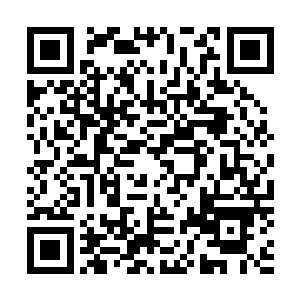 真没合计洪大力会发表什么看法――这货出了名的没心没肺二维码生成