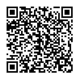 真的以为他们突击训练几天她就试不出他们这么长时间来到底有没有偷懒了么二维码生成