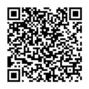 真的只是稍微质疑了一下苏落而已……怎么小世子就不高兴成这样了呢二维码生成