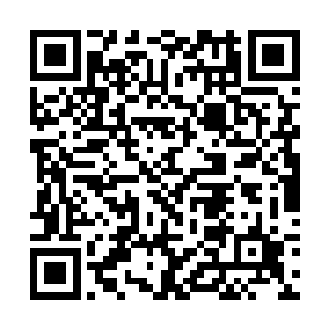 眨眼之间就过去了……尽管秦方有种度曰如年的感觉二维码生成