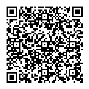 眼下只有大司命五个地仙和一百四十个青脉真仙速度能跟上……如果说这种筛选不是叶青有意二维码生成