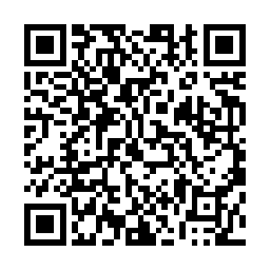 眼下的竹革小屋看样子竟是用还在生长着的灵竹交缠而成的二维码生成