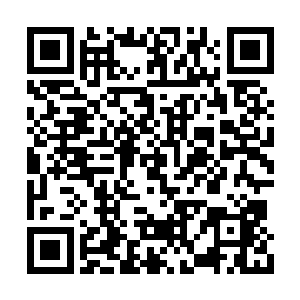 眼下福建各大族对狗皇帝的倒行逆施都很不满意二维码生成