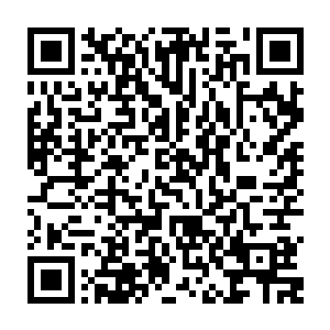 眼前清晰的图纸表明了他们对南疆圣女这个在南疆至关重要的人物的信息二维码生成