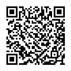 眼前的一切似乎补上了人生阅历的一块珍稀拼图二维码生成