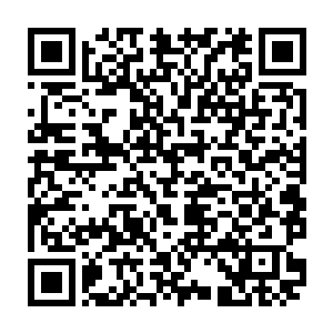 眼前的凶兽皇者的实力跟远古时期的凶兽皇者相比显然绝对是远远不如的二维码生成