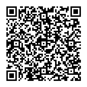 眼前的圣龙皇的实力绝对比之前的时候自己干掉的那个玄黄宗的玄黄散人要厉害了不知道多少倍二维码生成