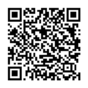 眼前的景象在我徒劳伸出的胳膊里迅速的就黑了下去……二维码生成