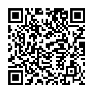 眼前的这个大家伙显然是将他们全部的心神都吸引过去了二维码生成