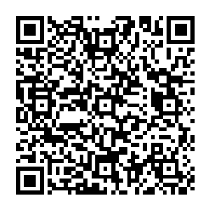 眼前的通臂猿猴的虚影的气息虽然说远远不如外面见到的那个虚影的气息那么恐怖二维码生成