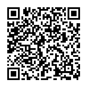 眼前这位高人前辈索要寻找的徒弟正是那日在拍卖会上出手阔绰的前辈二维码生成